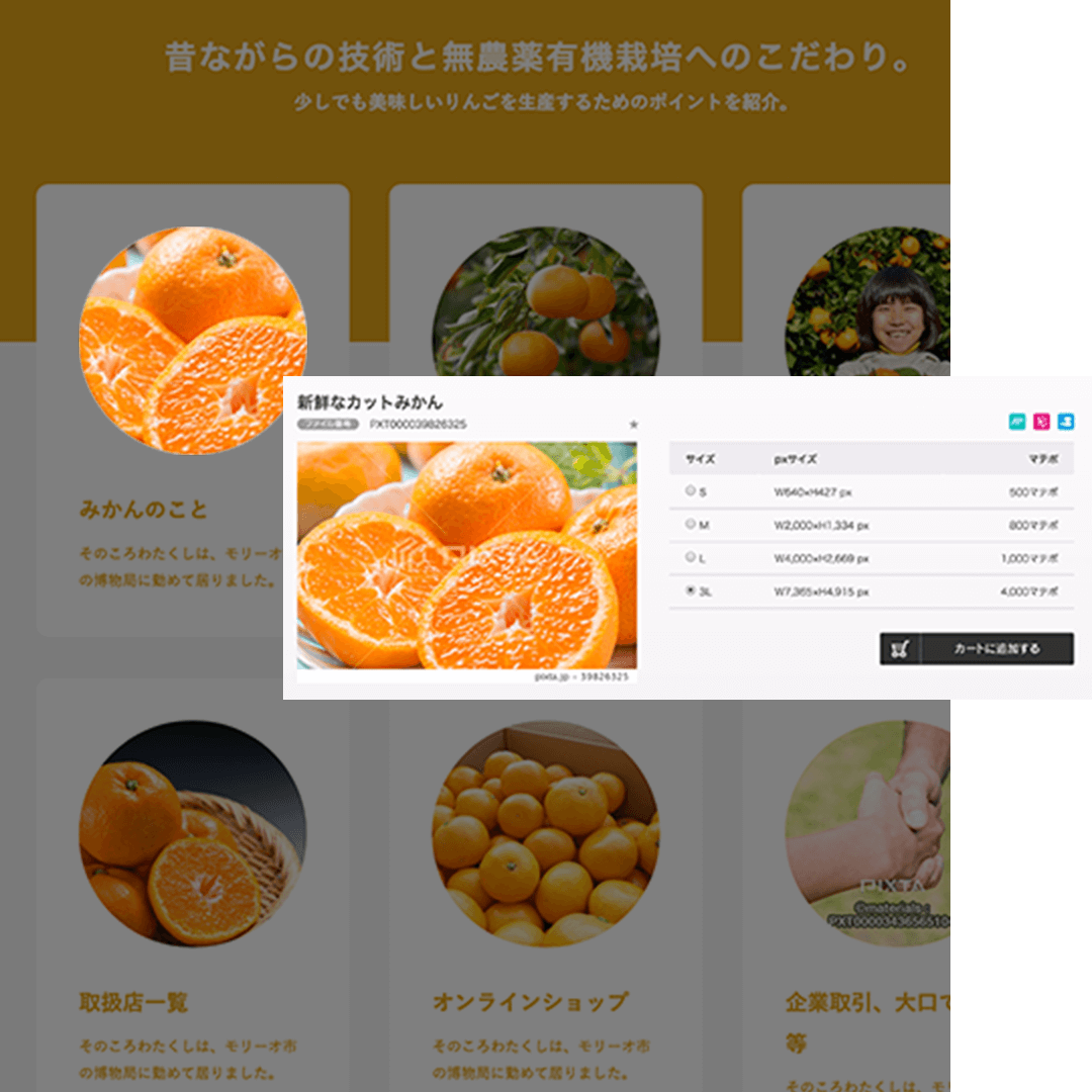 画像の変更後