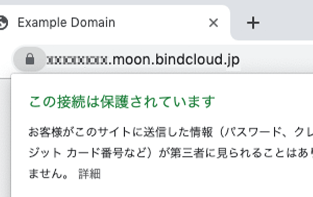 常時SSL設定されたオリジナルアカウントのサイト