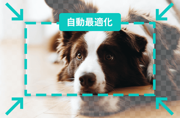 最適な解像度へ自動リサイズ