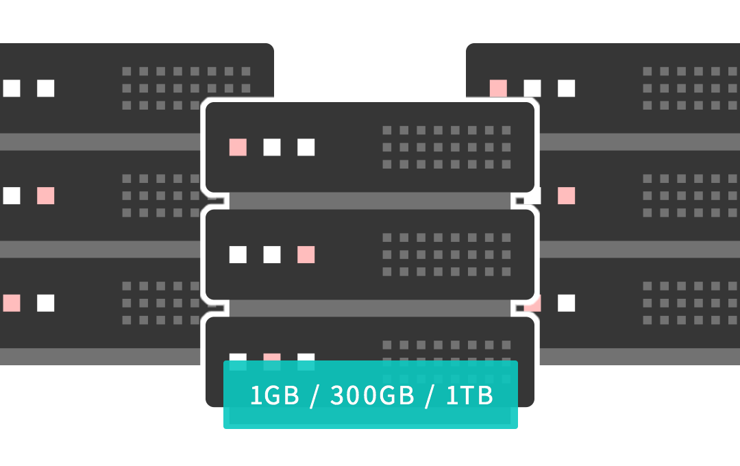 BiNDupのサーバー容量