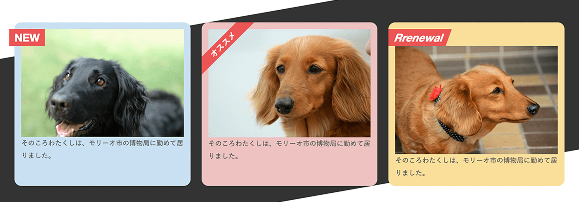 画像化せずに写真に文字要素を載せられる！Dressの高度な設定にチャレンジ