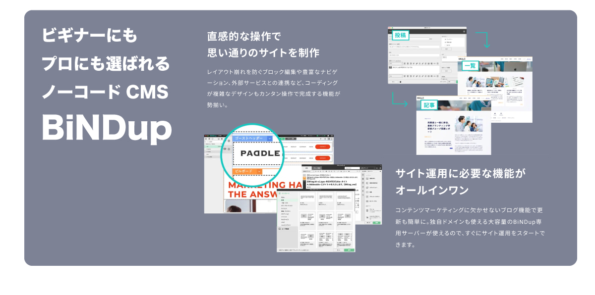 ホームページ作成費用の賢い抑え方！プロ依頼の品質を自作で実現する裏ワザ