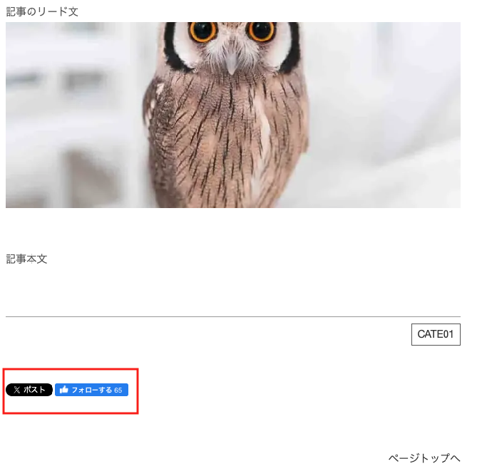 レイアウトを確認する