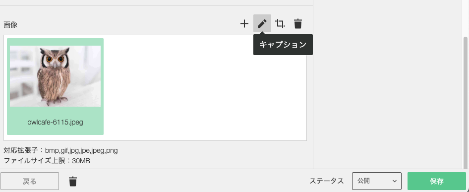 ブログ編集で画像のキャプションを設定する